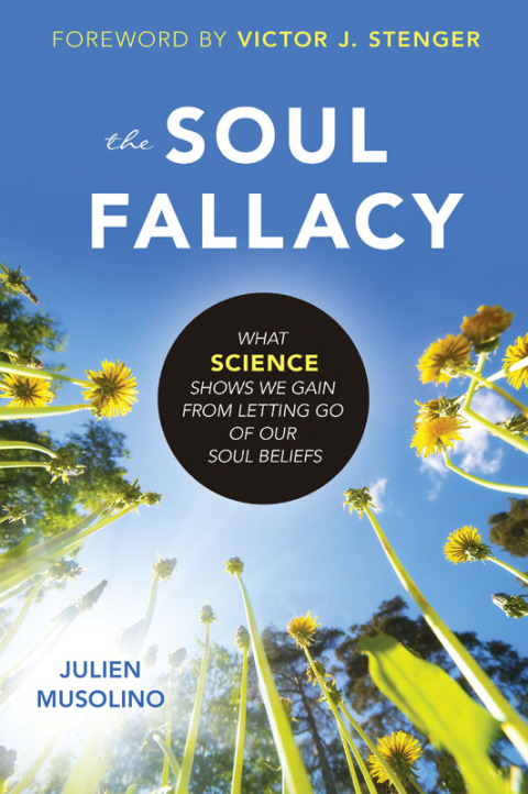 Cover image for book Soul Fallacy