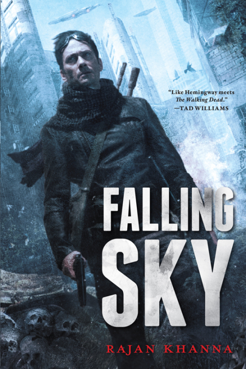 Cover image for book Falling Sky