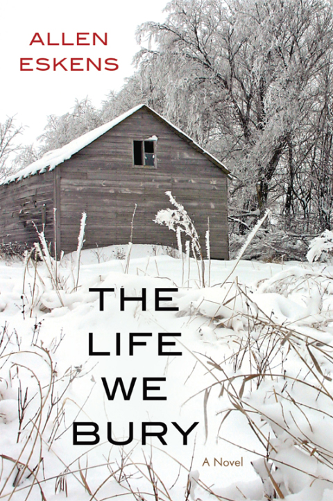Cover image for book The Life We Bury