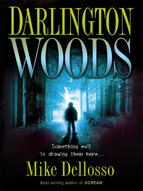 Cover image for book Darlington Woods