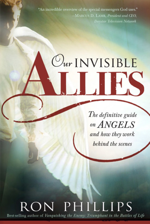 Cover image for book Our Invisible Allies