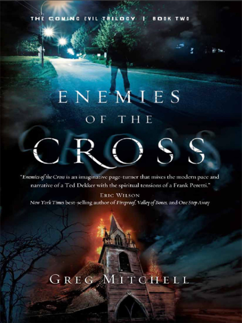 Cover image for book Enemies of the Cross
