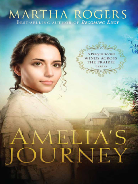 Cover image for book Amelia's Journey