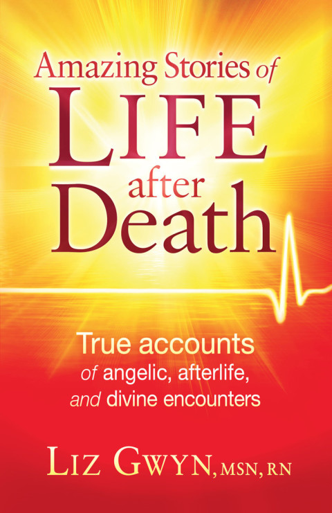Cover image for book Amazing Stories of Life After Death