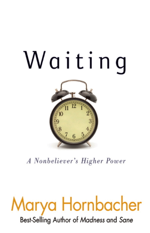 Cover image for book Waiting