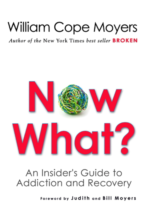 Cover image for book Now What?