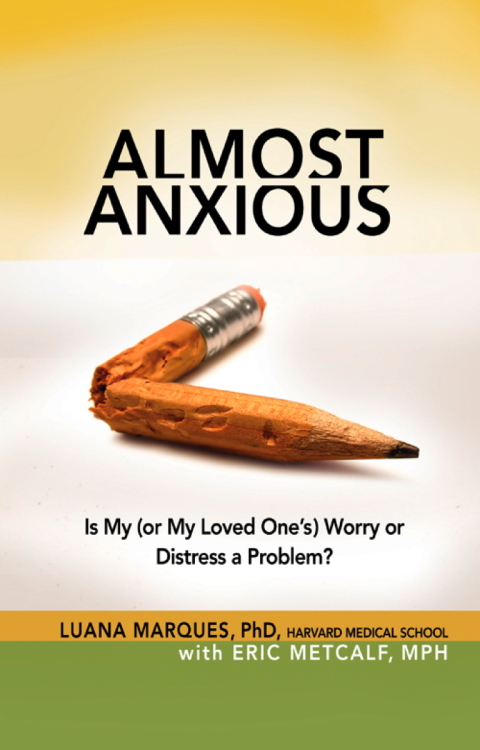 Cover image for book Almost Anxious