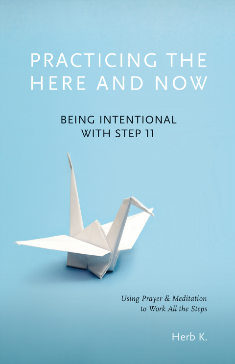 Cover image for book Practicing the Here and Now