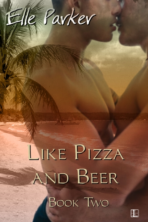 Cover image for book Like Pizza and Beer