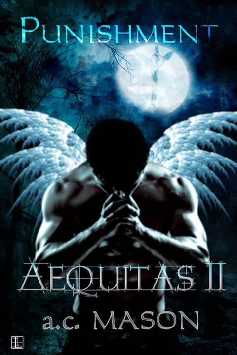 Cover image for book Aequitas II Punishment