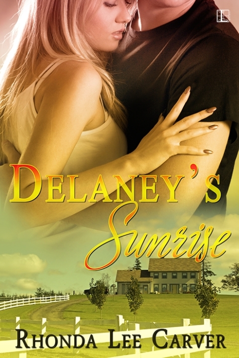 Cover image for book Delaney's Sunrise