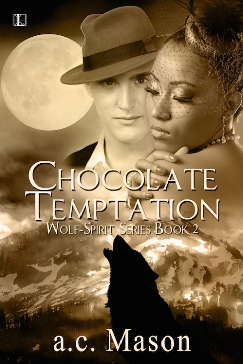 Cover image for book Chocolate Temptation