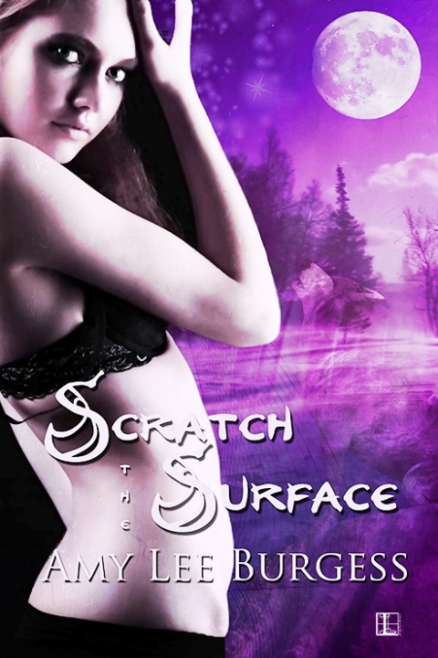 Cover image for book Scratch the Surface