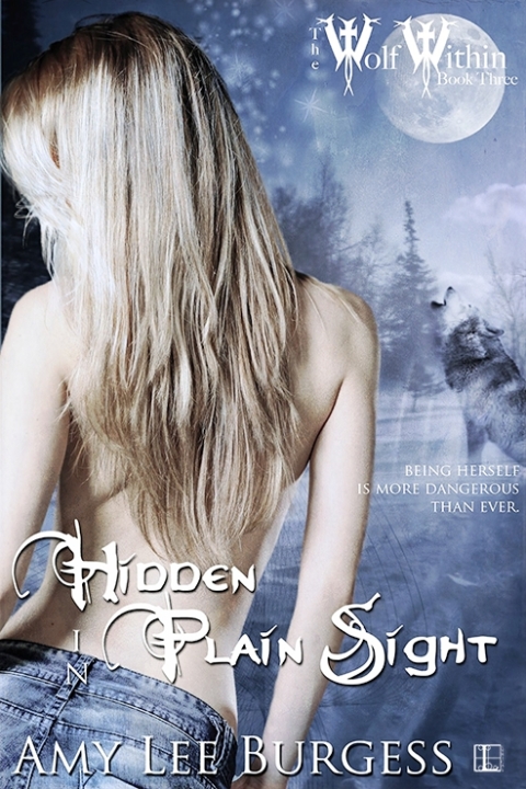 Cover image for book Hidden in Plain Sight