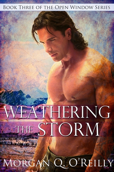 Cover image for book Weathering the Storm