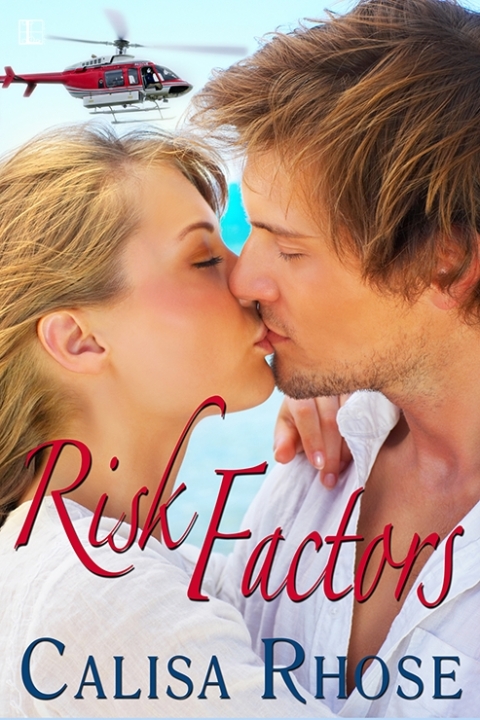 Cover image for book Risk Factors