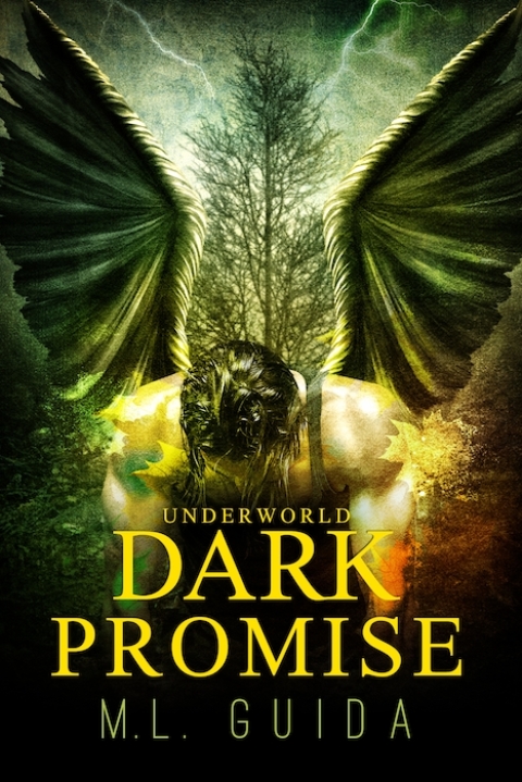 Cover image for book Dark Promise