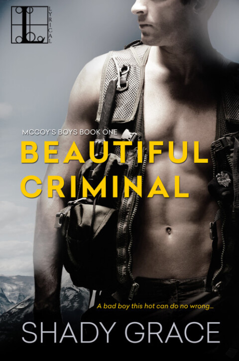 Cover image for book Beautiful Criminal