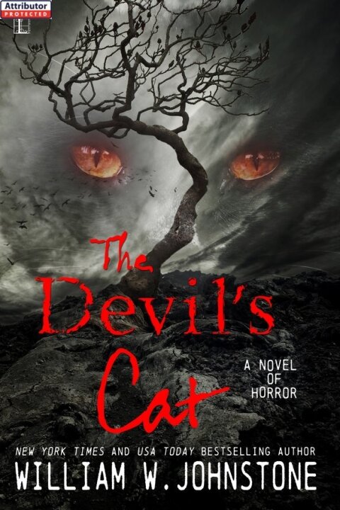 Cover image for book The Devil's Cat