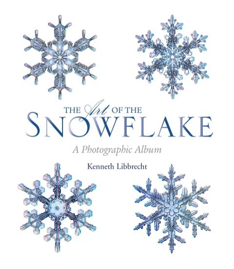 Cover image for book The Art of the Snowflake