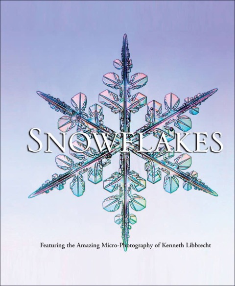 Cover image for book Snowflakes