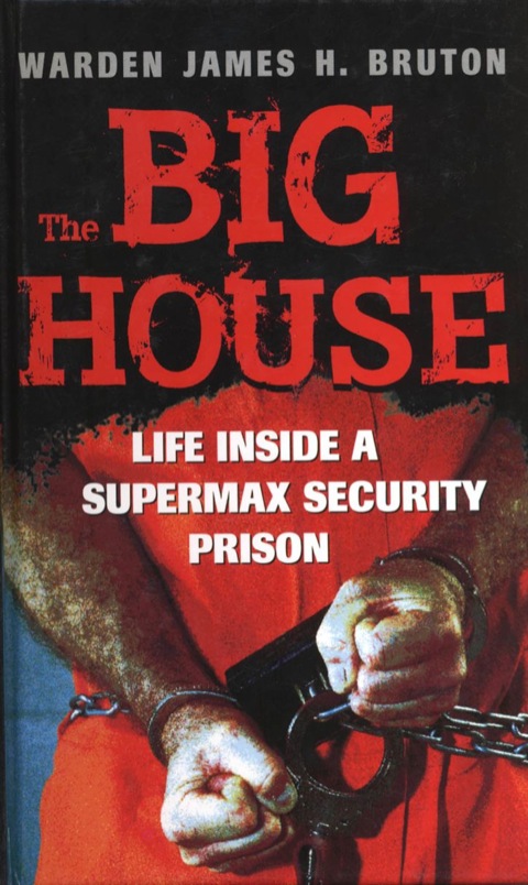 Cover image for book The Big House