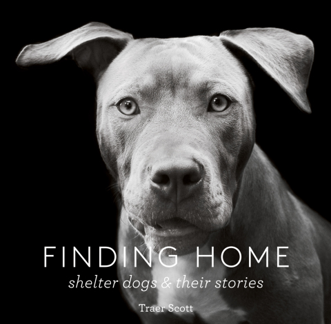 Cover image for book Finding Home