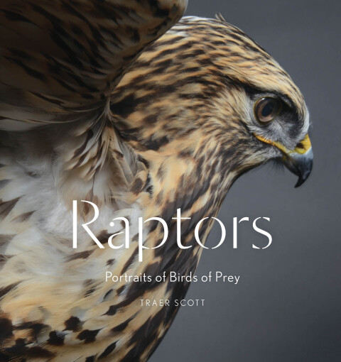 Cover image for book Raptors