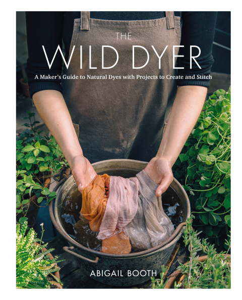 Cover image for book The Wild Dyer