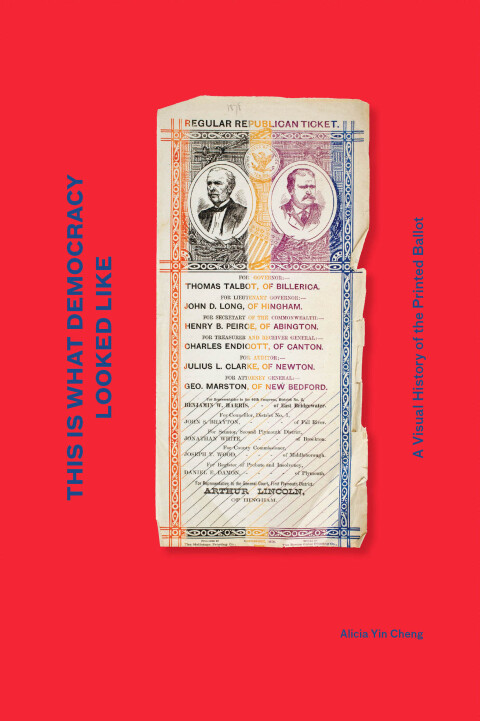 Cover image for book This is What Democracy Looked Like