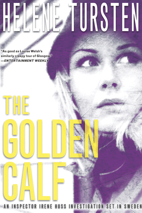 Cover image for book The Golden Calf