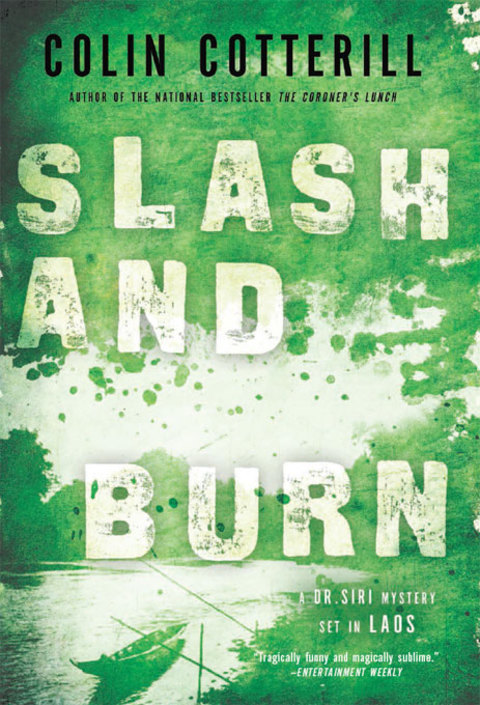 Cover image for book Slash and Burn