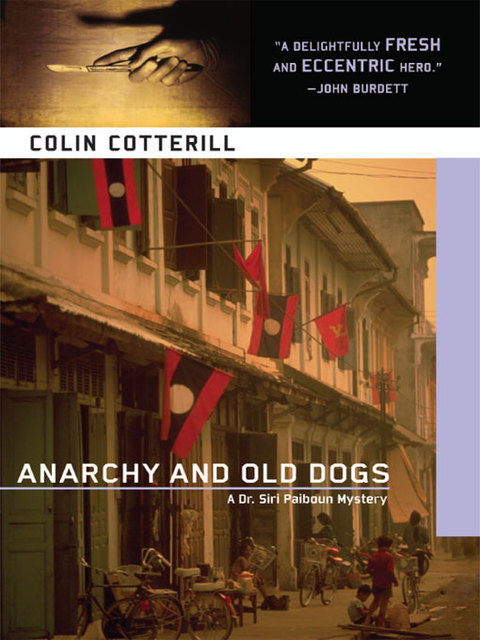 Cover image for book Anarchy and Old Dogs