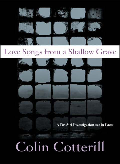 Cover image for book Love Songs from a Shallow Grave