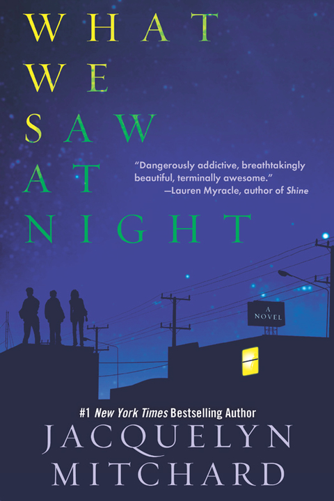 Cover image for book What We Saw at Night