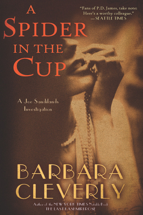 Cover image for book A Spider in the Cup