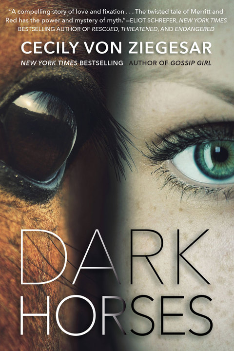 Cover image for book Dark Horses