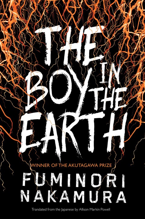Cover image for book The Boy in the Earth
