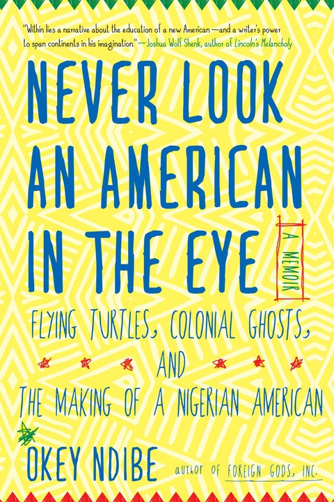Cover image for book Never Look an American in the Eye