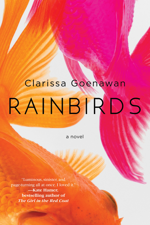 Cover image for book Rainbirds