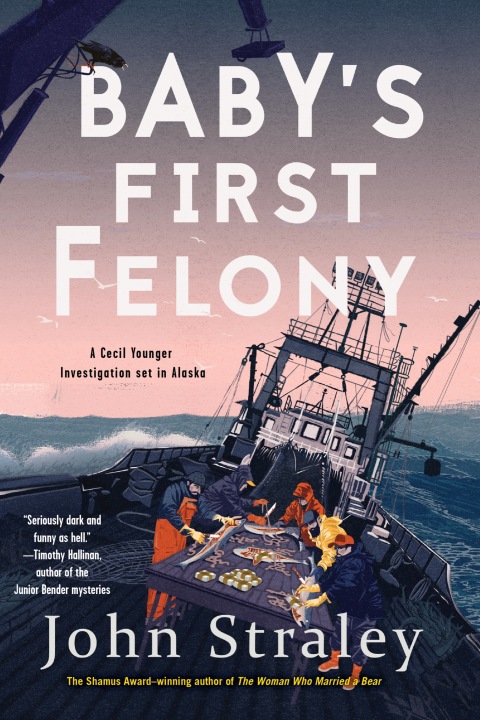 Cover image for book Baby's First Felony