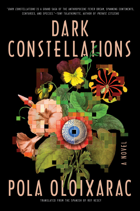 Cover image for book Dark Constellations