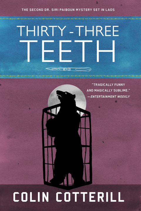 Cover image for book Thirty-Three Teeth