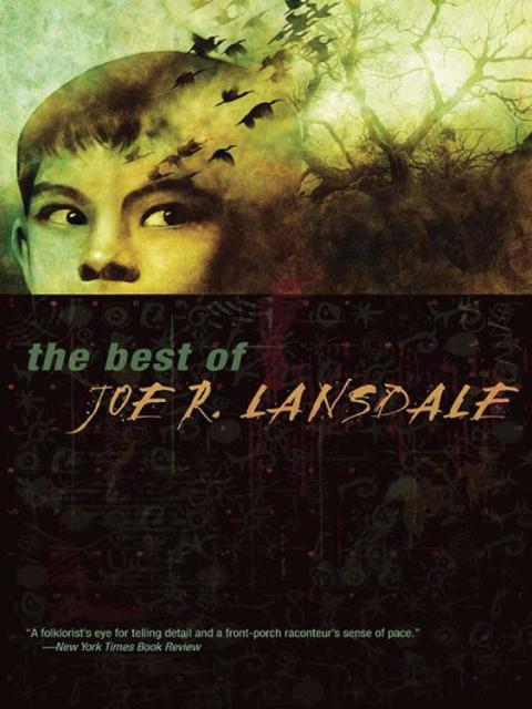 Cover image for book The Best of Joe R. Lansdale