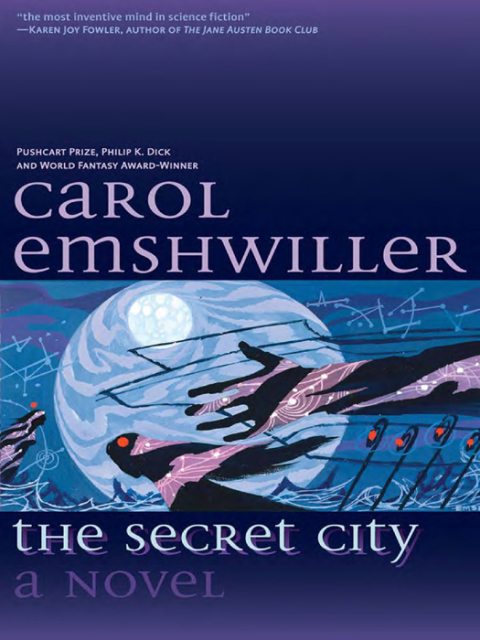 Cover image for book The Secret City