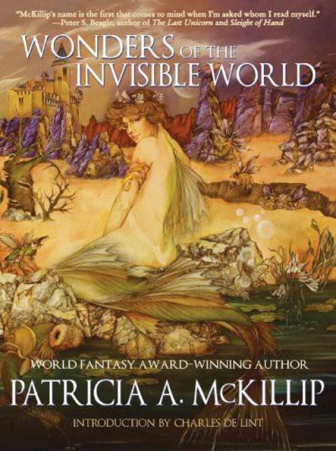 Cover image for book Wonders of the Invisible World