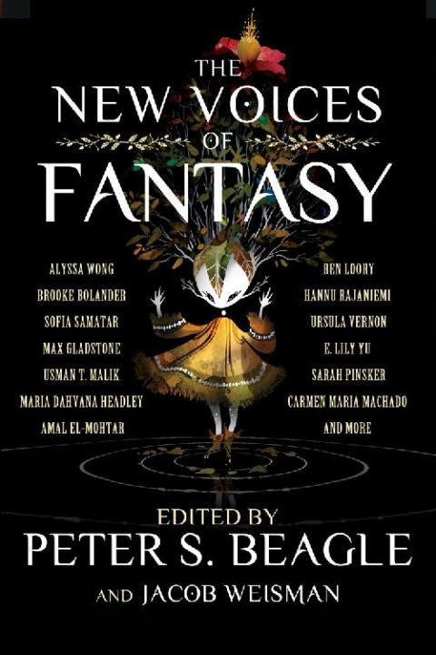 Cover image for book The New Voices of Fantasy