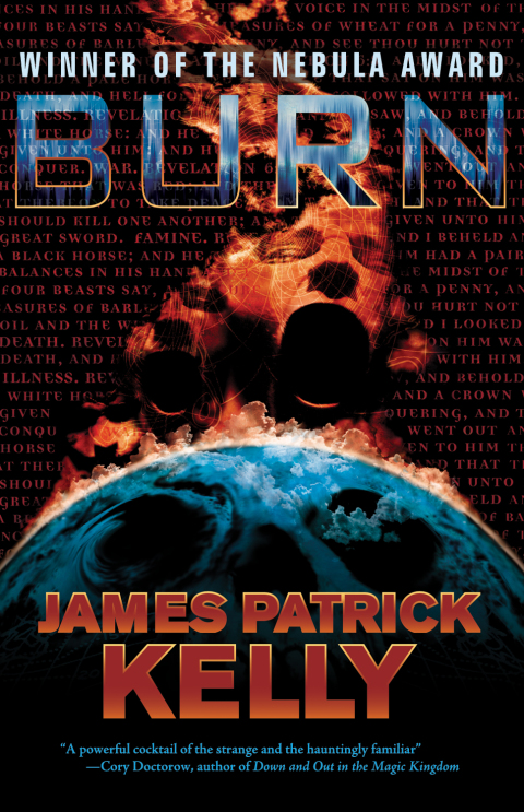 Cover image for book Burn