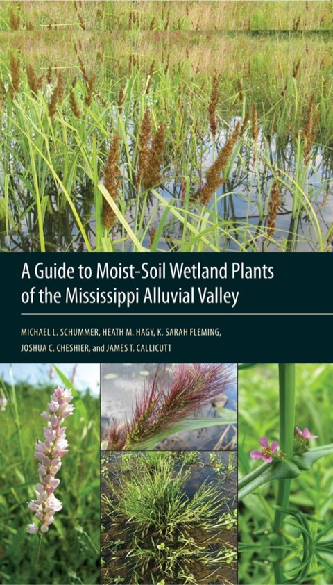 Cover image for book A Guide to Moist-Soil Wetland Plants of the Mississippi Alluvial Valley