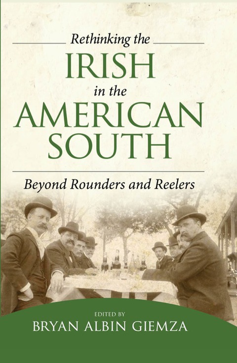 Cover image for book Rethinking the Irish in the American South